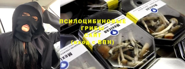 молекула духа Осинники