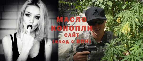 молекула духа Осинники