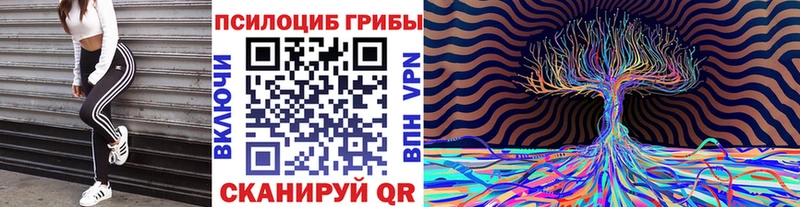Галлюциногенные грибы Psilocybe  Купить где  Красково 